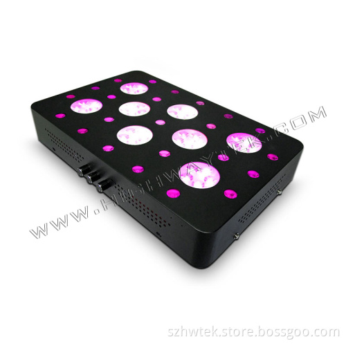 300W LED Indoor Garden Grow Light (HWG-27)
